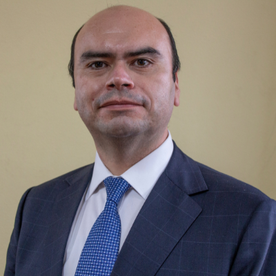 Testimonio de Manuel Barría, Presidente del Tribunal Electoral de la Universidad de Concepción, Chile
